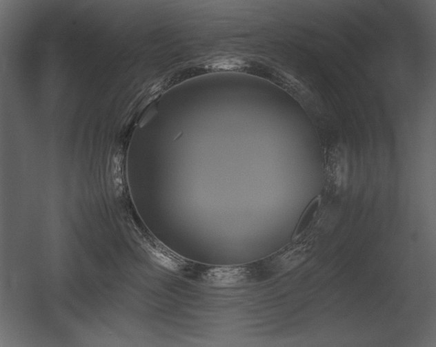 X0000053010526200507081303