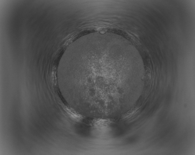 X0000053010527200507081303