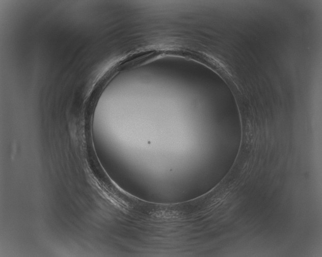 X0000053010535200507081302