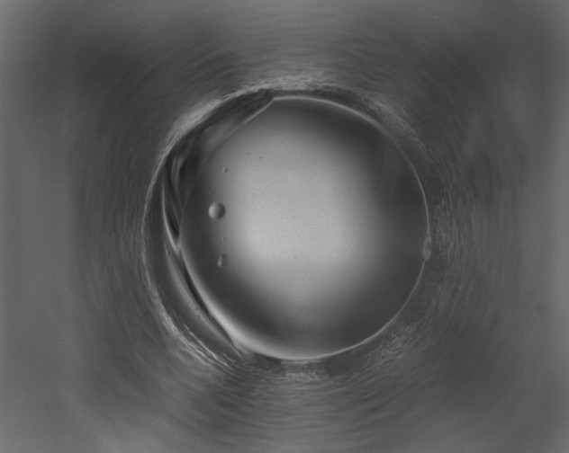 X0000053010536200507081302