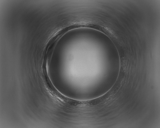 X0000053010544200507081302