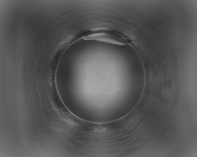 X0000053010547200507081302