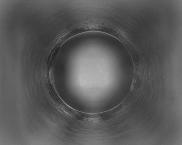 X0000053010548200507081302