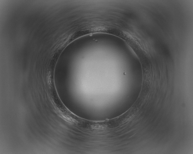 X0000053010549200507081302