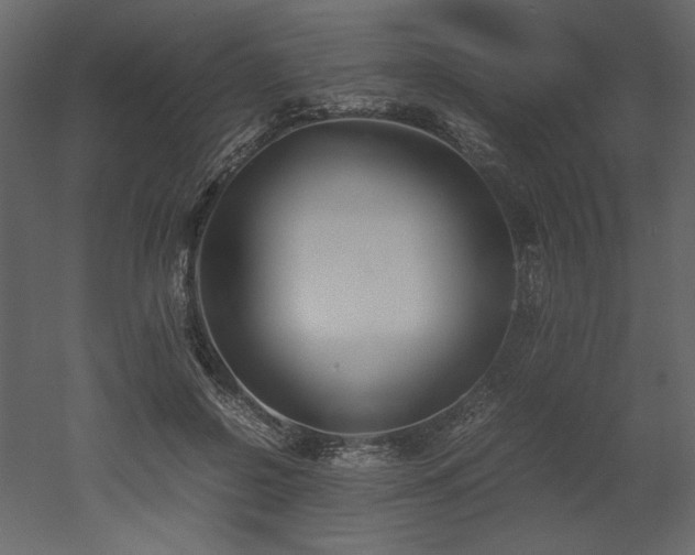 X0000053010550200507081302