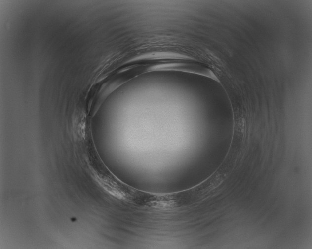 X0000053010552200507081302