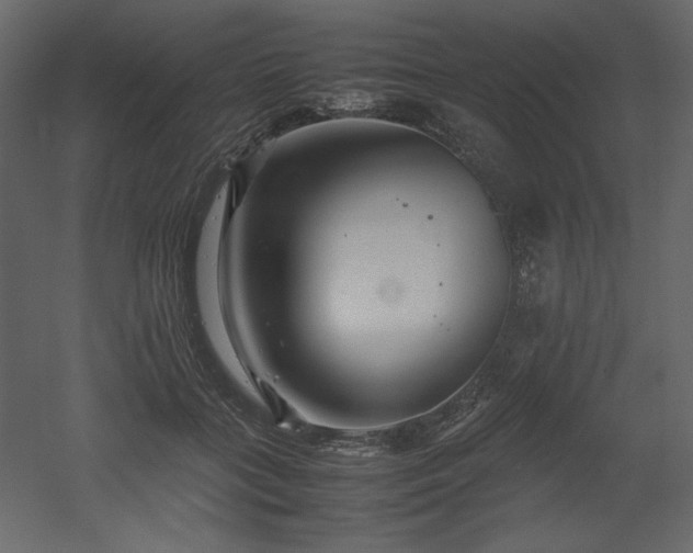X0000053010555200507081302