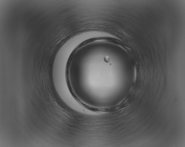 X0000053010556200507081302