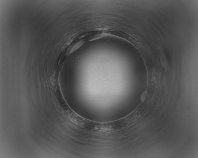 X0000053010559200507081302