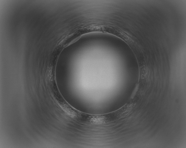 X0000053010560200507081302