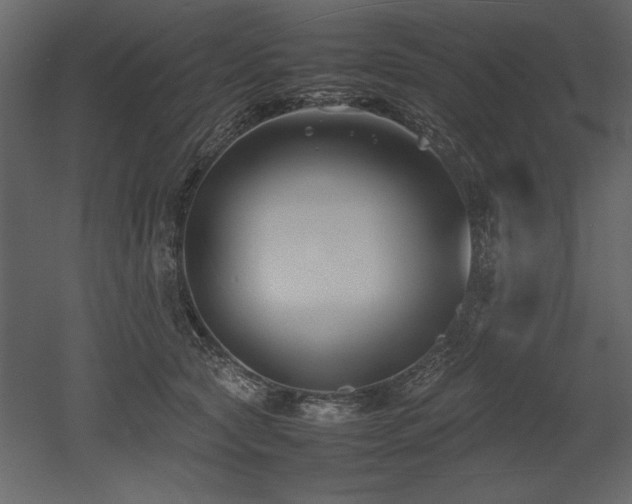 X0000053010561200507081302