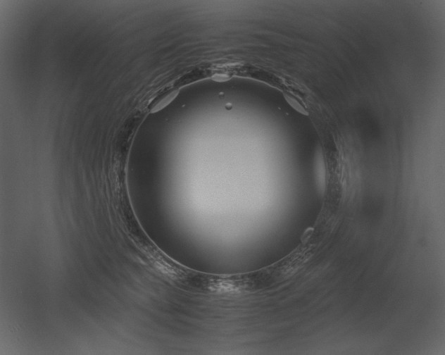 X0000053010565200507081302