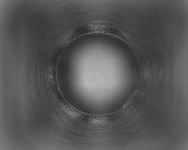 X0000053010567200507081303
