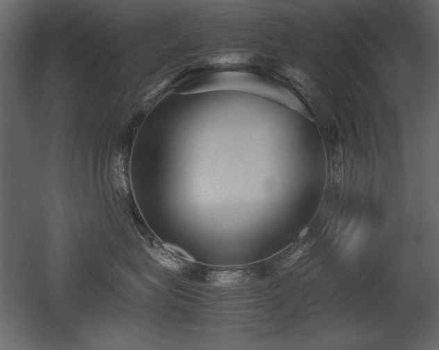 X0000053010575200507081303