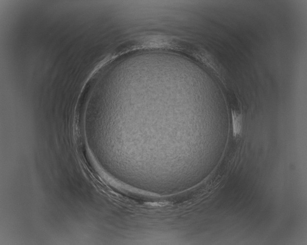 X0000053010579200507081302
