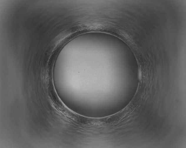 X0000053010583200507081302