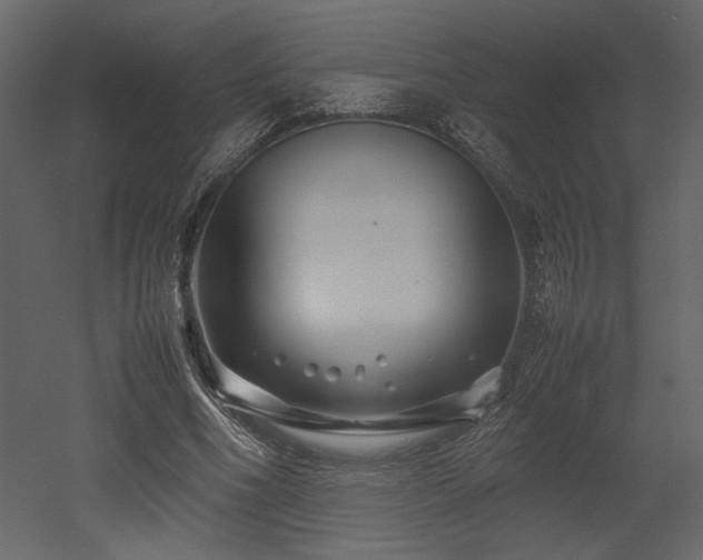 X0000053010586200507081302