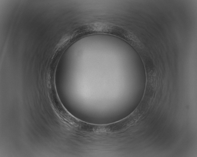 X0000053010587200507081302