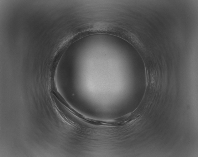 X0000053010588200507081302
