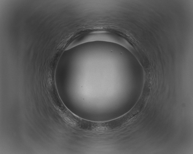 X0000053010593200507081302