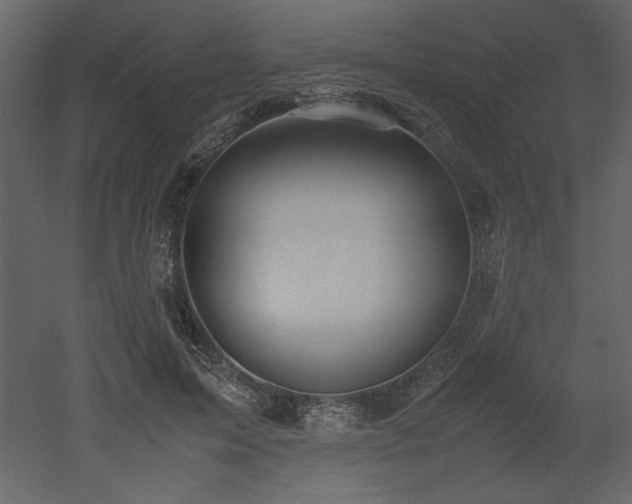 X0000053010599200507081301