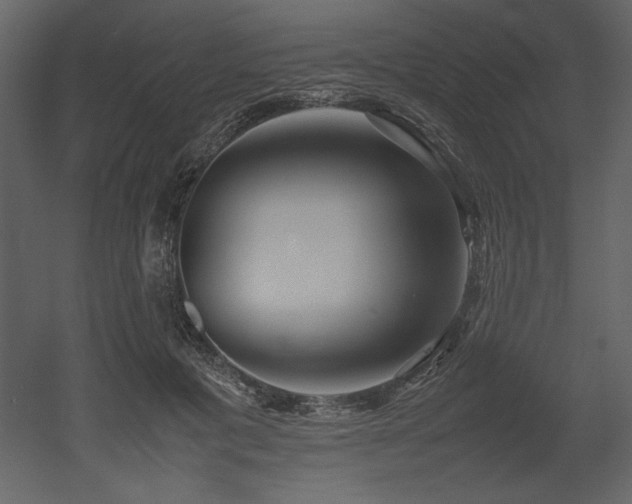 X0000053010601200507081301