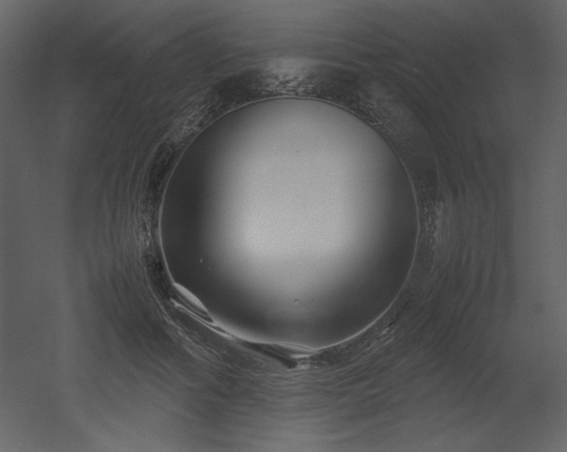 X0000053010602200507081301