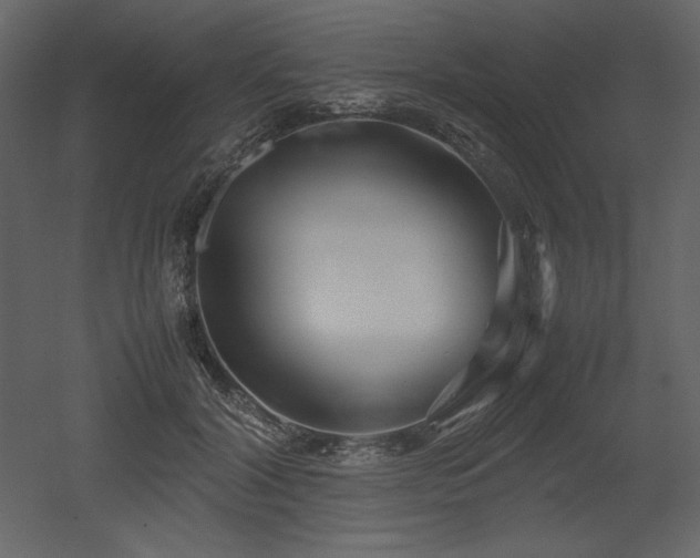 X0000053010604200507081301