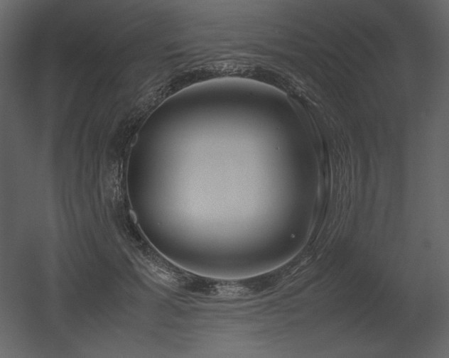 X0000053010605200507081301