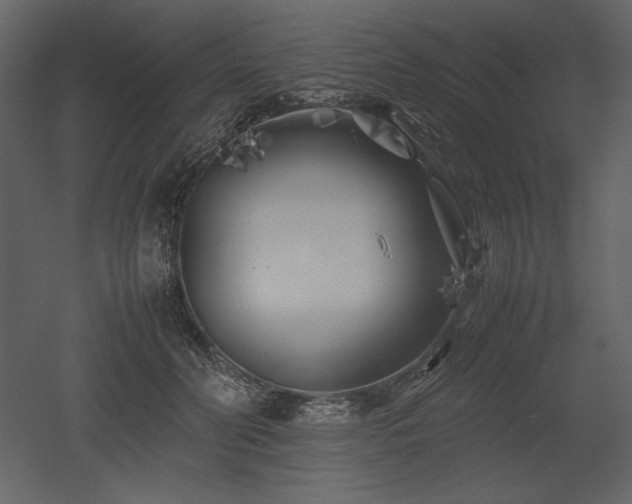X0000053010606200507081301