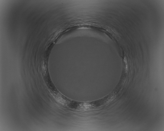 X0000053010607200507081301