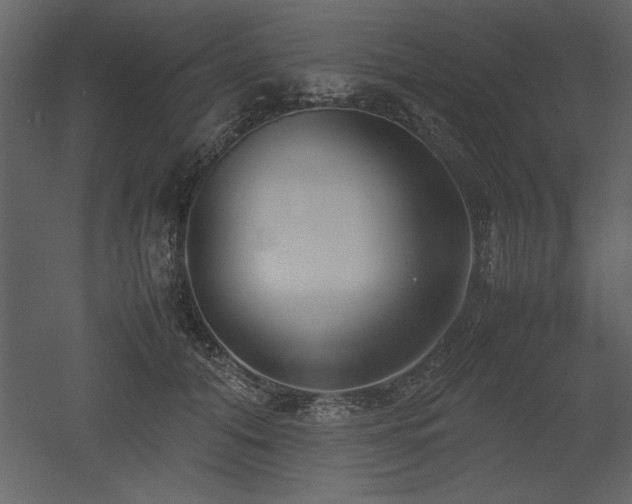 X0000053010608200507081301