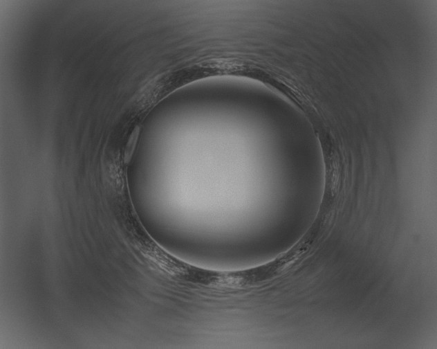 X0000053010609200507081301