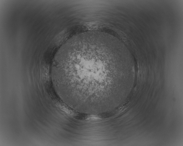 X0000053010610200507081301