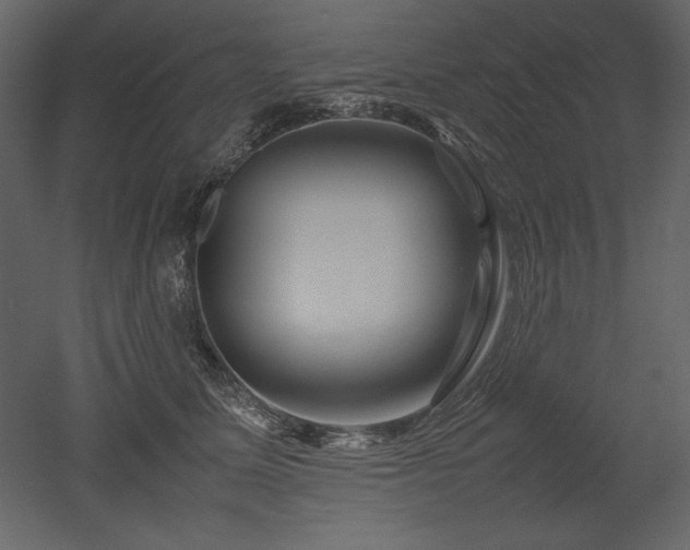 X0000053010611200507081301