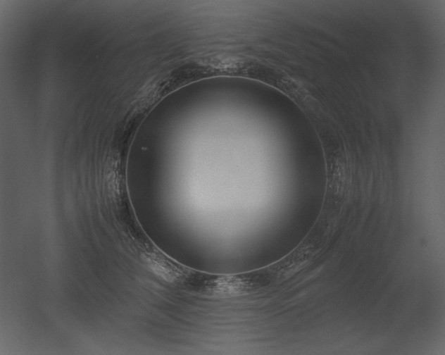 X0000053010612200507081301