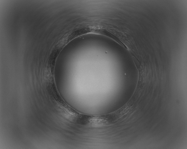 X0000053010614200507081301