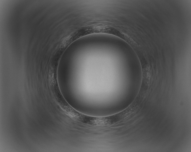 X0000053010615200507081301