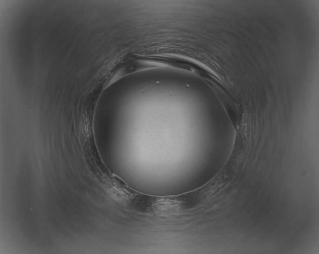 X0000053010617200507081301