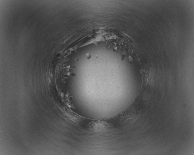 X0000053010618200507081301