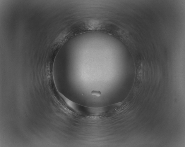 X0000053010620200507081301
