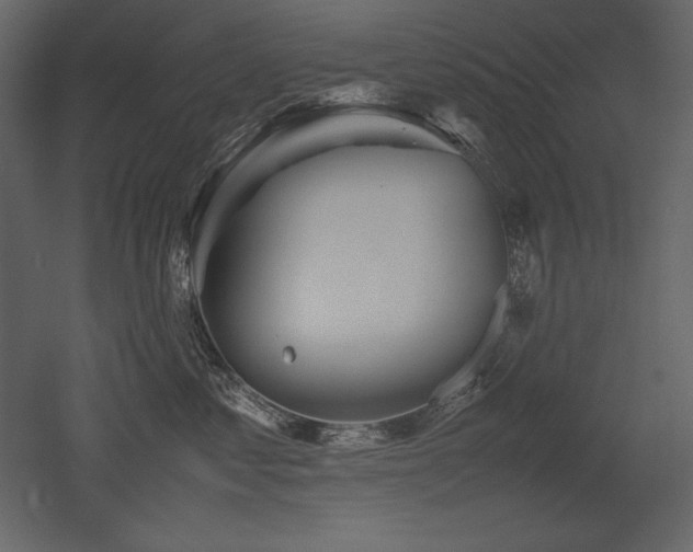 X0000053010621200507081301