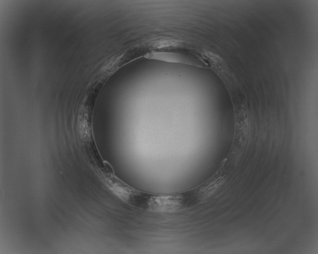 X0000053010622200507081301