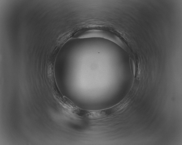 X0000053010623200507081301