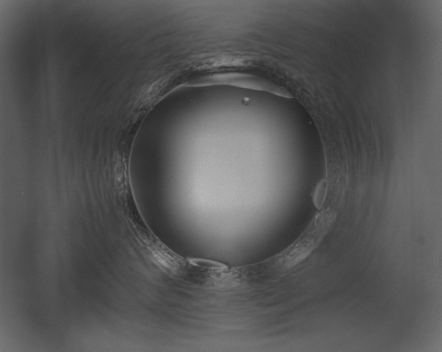 X0000053010624200507081301