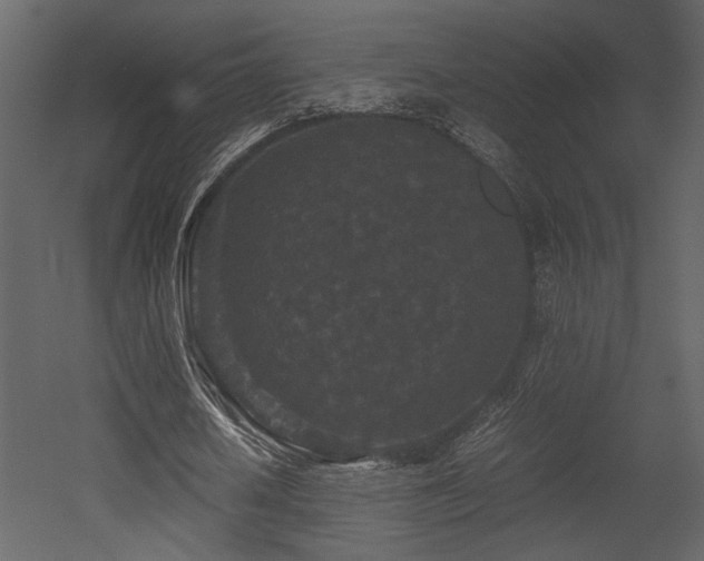 X0000053010626200507081300