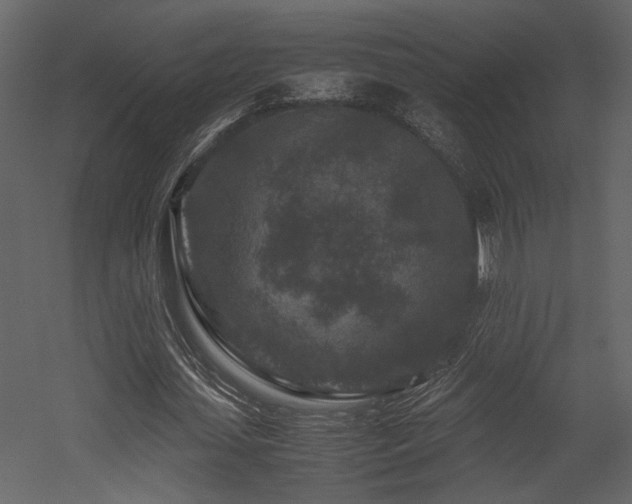 X0000053010627200507081300