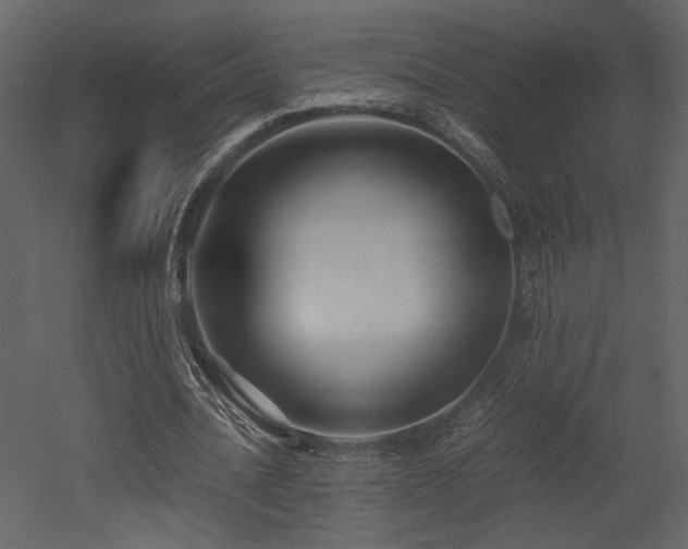 X0000053010628200507081300