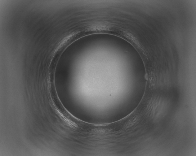 X0000053010629200507081300