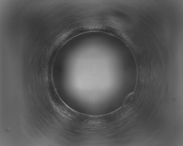 X0000053010631200507081300